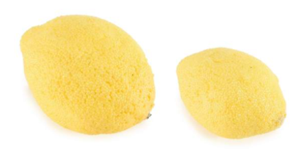 Limones artificiales Art