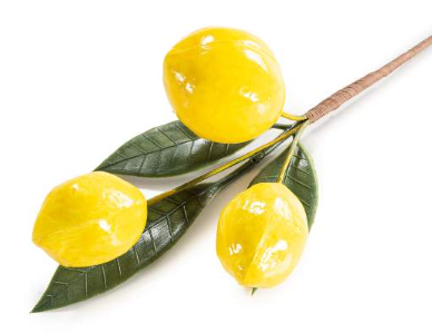 Ramita de Limones Artificiales  X UD