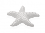 Figura Estrella de Mar Ceramica - Imagen 2